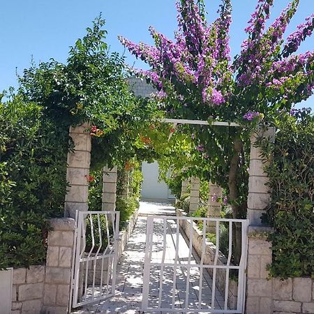 Apartman Lucija コルチュラ エクステリア 写真