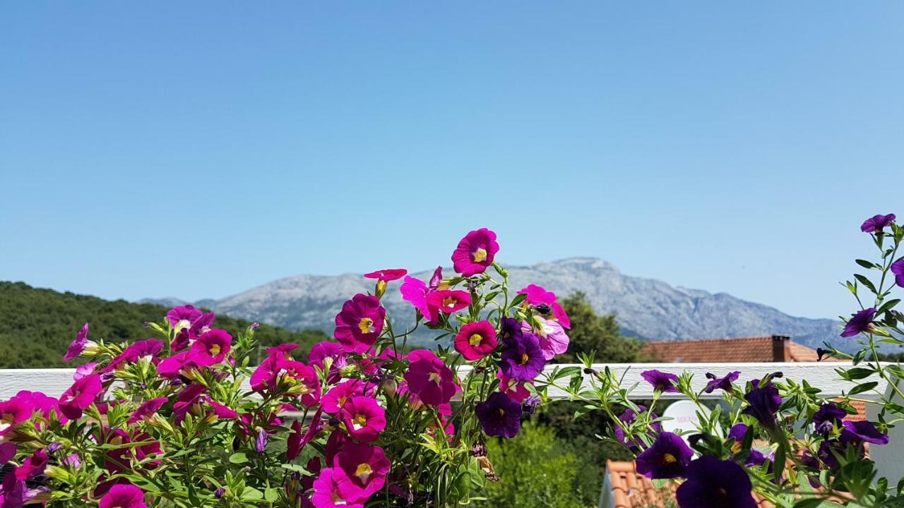 Apartman Lucija コルチュラ エクステリア 写真