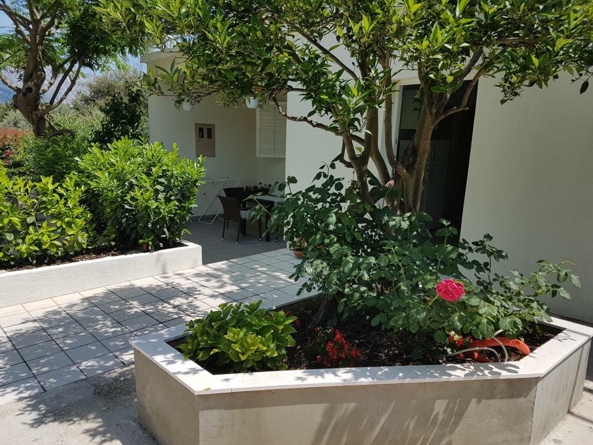 Apartman Lucija コルチュラ エクステリア 写真