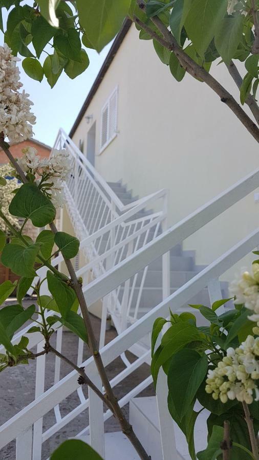 Apartman Lucija コルチュラ エクステリア 写真