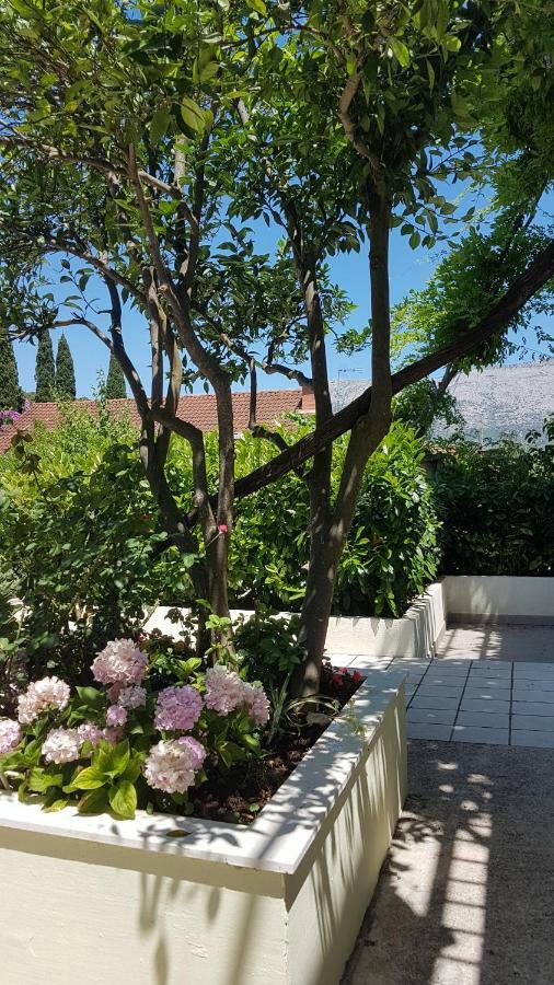 Apartman Lucija コルチュラ エクステリア 写真